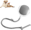 Bouncetug Play Ball – Interactive Pet Toy