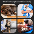 Dog Paw Anti-slip And Heat Protection
