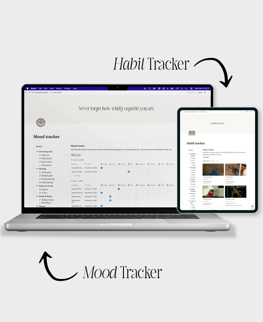 The Digital Planner 2.0 (accessed via Notion)