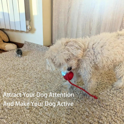 Bouncetug Play Ball – Interactive Pet Toy